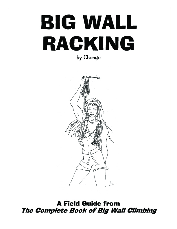 This image may not show for some browsers, like, for example, Internet Explorer. Either Mozilla Firefox or Google Chrome work perfectly for this and all other pages of the site. Click here to see the field guide: Advanced Big Wall Big Wall Racking